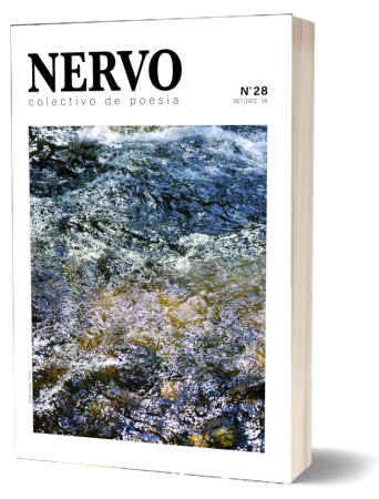 nervo-28-p